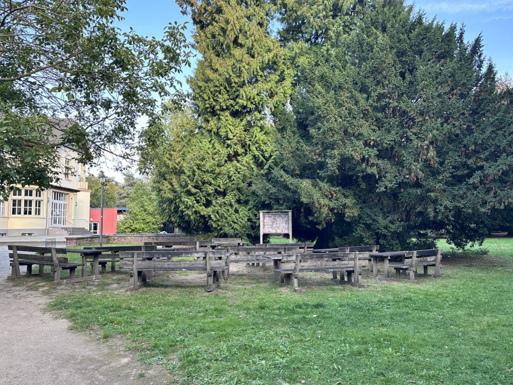 Ein zweites grünes Klassenzimmer für das St. Bernhard-Gymnasium